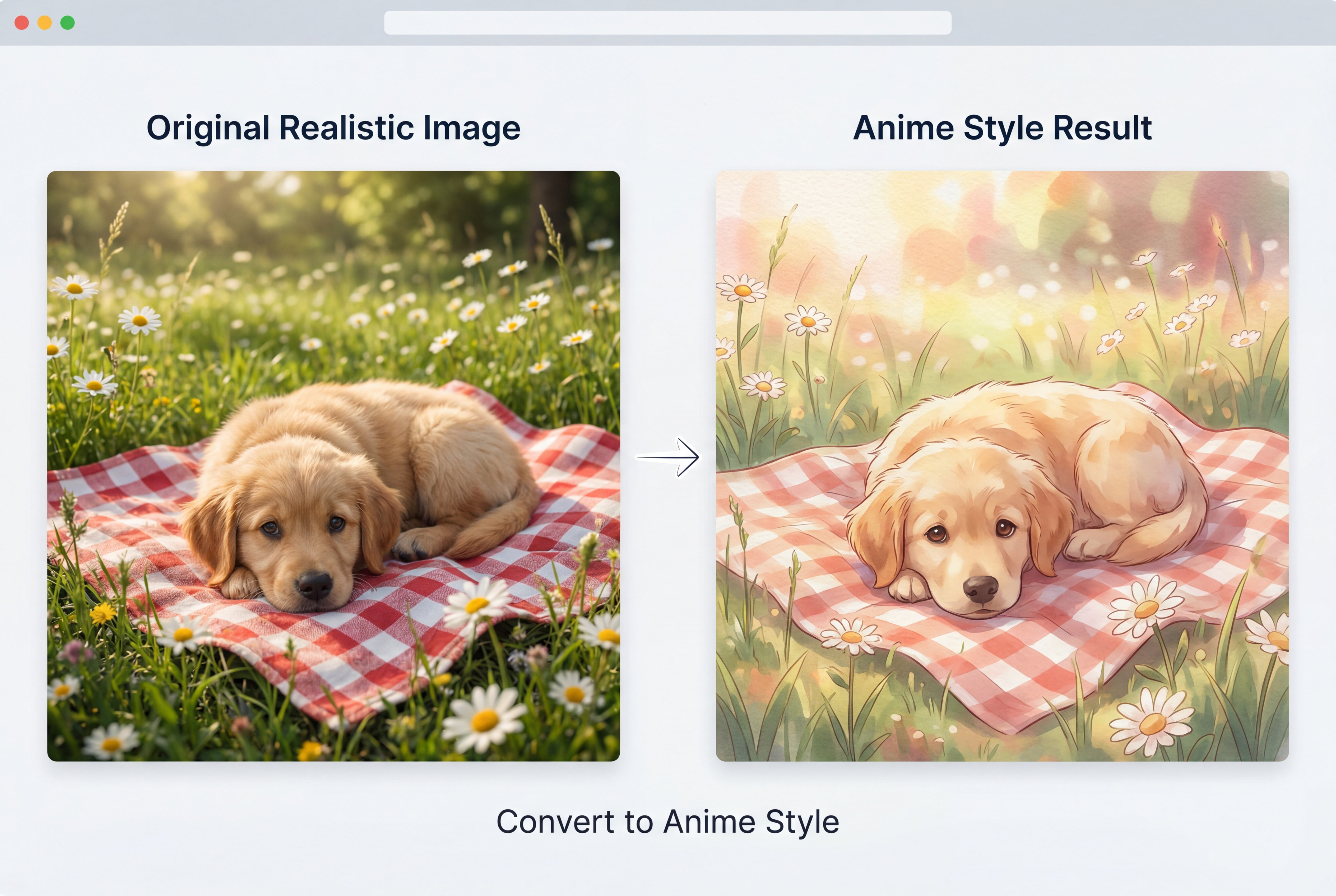 🖼️ HD Quality Downloads