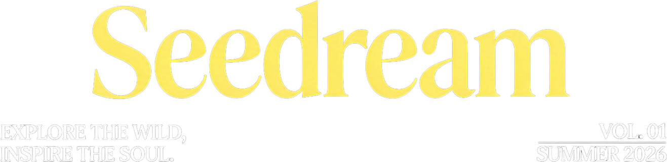 seedream/5-pro-layer-decomposition original example