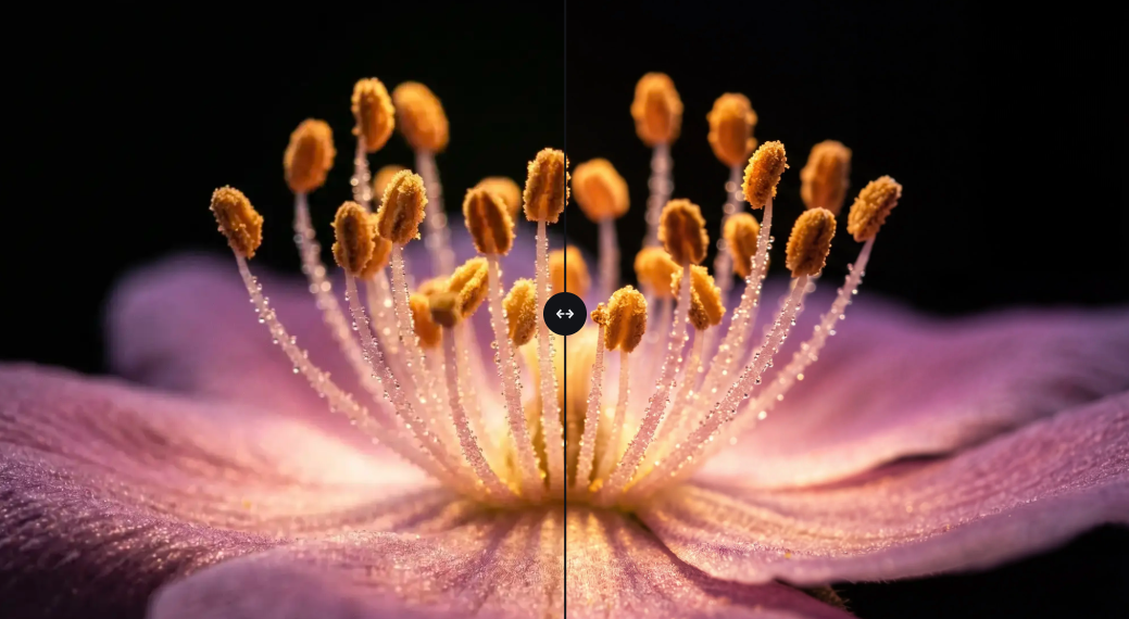 Combine Images